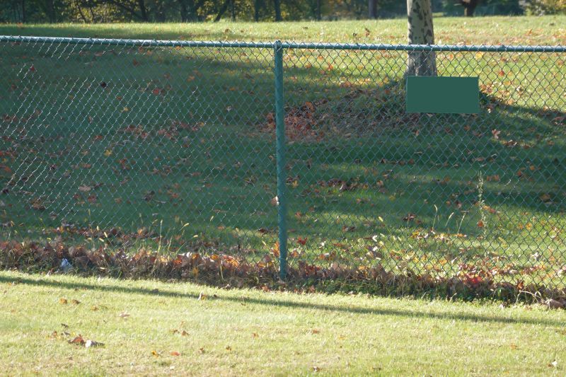 Professional Scheduling